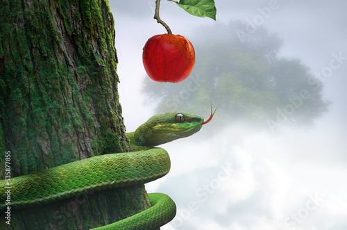 Snake on a tree with an apple fruit. Forbidden fruit concept religious theme. photo