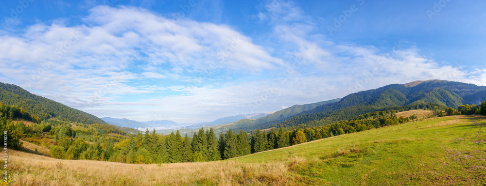 mountain landscape on a sunny morning. forest behind the meadow on the hill. high clouds on the blue sky above the misty valley. beautiful countryside nature scenery in early autumn