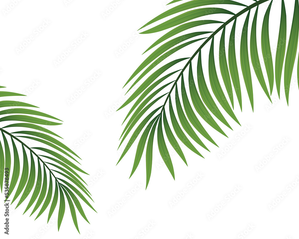 Fototapeta premium Realistic coconut organic milk ,oil and green palm leaves Vector illustration