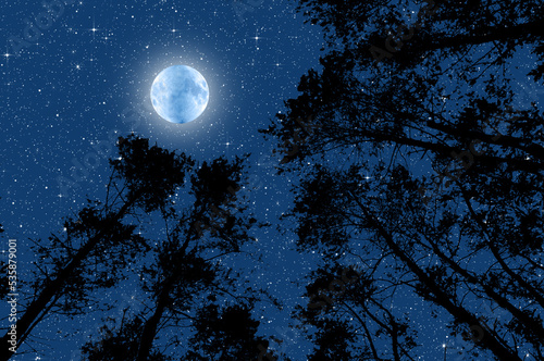 The moon and the starry sky in the silhouette of the tips of the trees in the forest. Background for Halloween