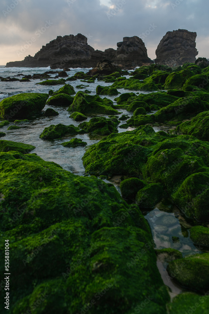 scenic view of coast green mossy stones near ocean in portugal.