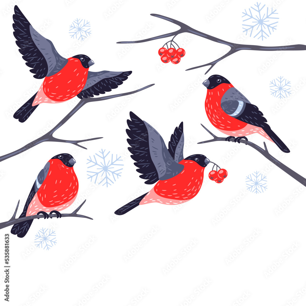 Winter background with birds bullfinches and plants. Merry Christmas and Happy New Year card.