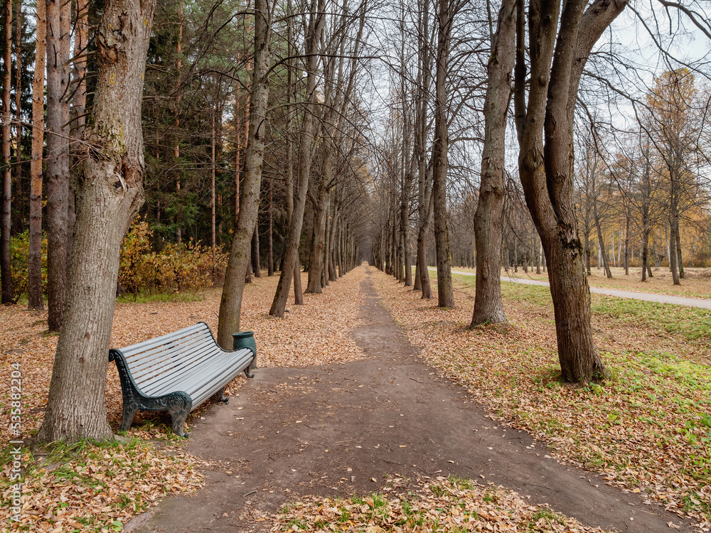 State museum Pavlovsk in autumn. Park alley. State museum Pavlovsk in autumn. Park alley.