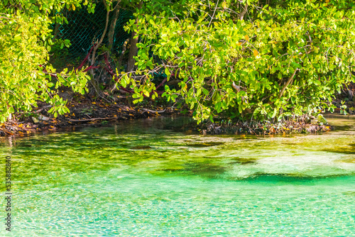 Fototapeta Naklejka Na Ścianę i Meble -  Small beautiful Cenote cave with river turquoise blue water Mexico.