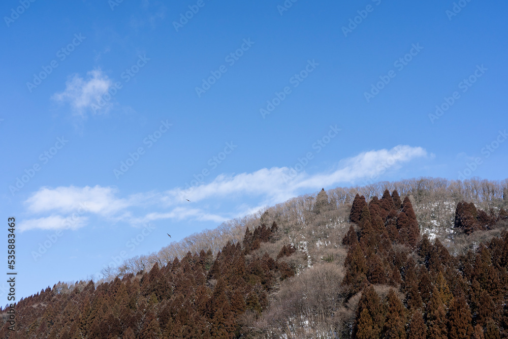 自然風景