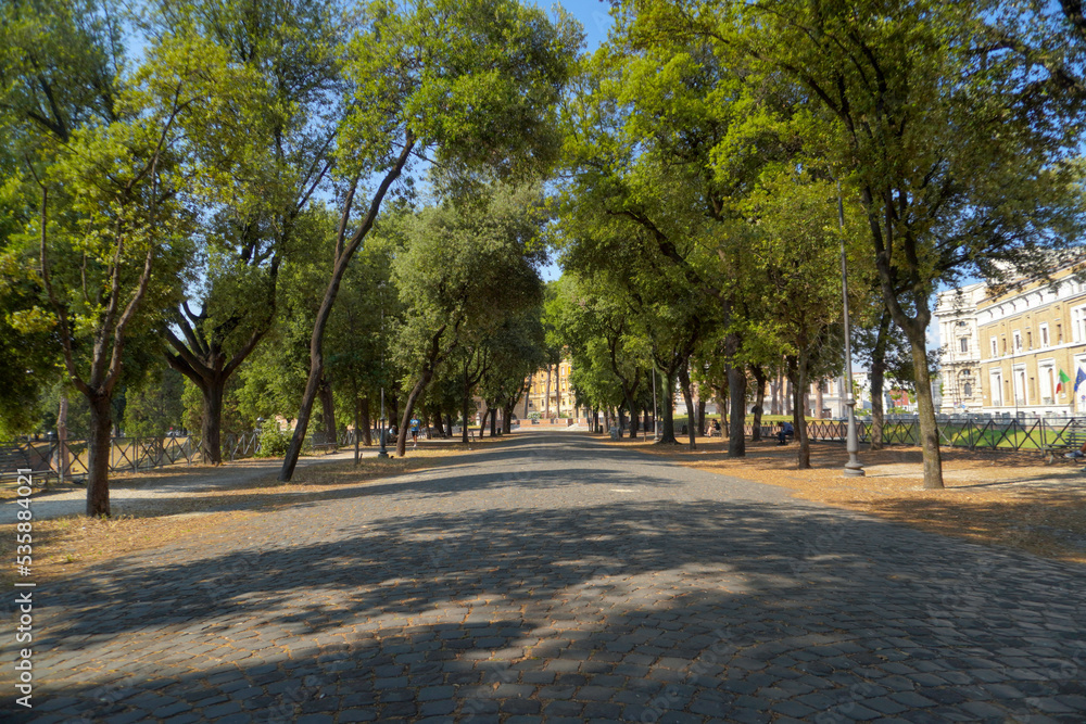 tree-lined avenue in rome