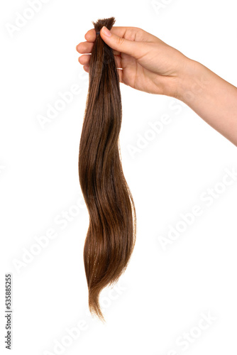 woman's hand hold cut natural brown long hair. Material for hair extension procedure, for wigs, donation. Isolated on white background