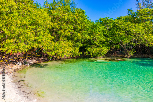 Small beautiful Cenote cave with river turquoise blue water Mexico.