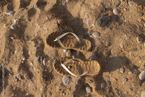 Sand-colored beach slates merge with sand and stones on the seashore. Attributes of rest  summer  relaxation  detachment from problems. Rest at the sea  sandy beach.