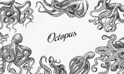 Sea octopus Background. Engraved hand drawn in old sketch, vintage creature. Nautical or marine, monster. Animal in the ocean. Template for logos, labels and emblems. Banner poster template.