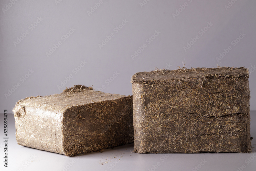 Wood chip briquettes, solid fuel from wood chips and flax. Nature-friendly ecological fuel from renewable resources