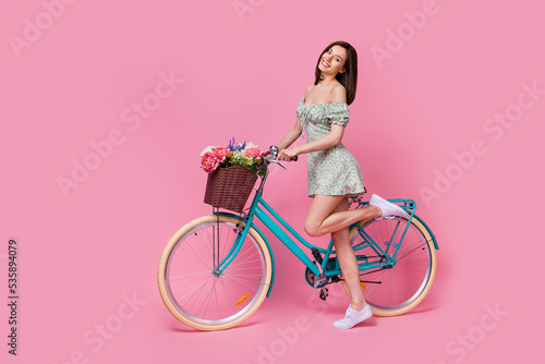 Fototapeta Naklejka Na Ścianę i Meble -  Full length profile photo of sweet lady ride bicycle wear printed dress isolated on pink color background
