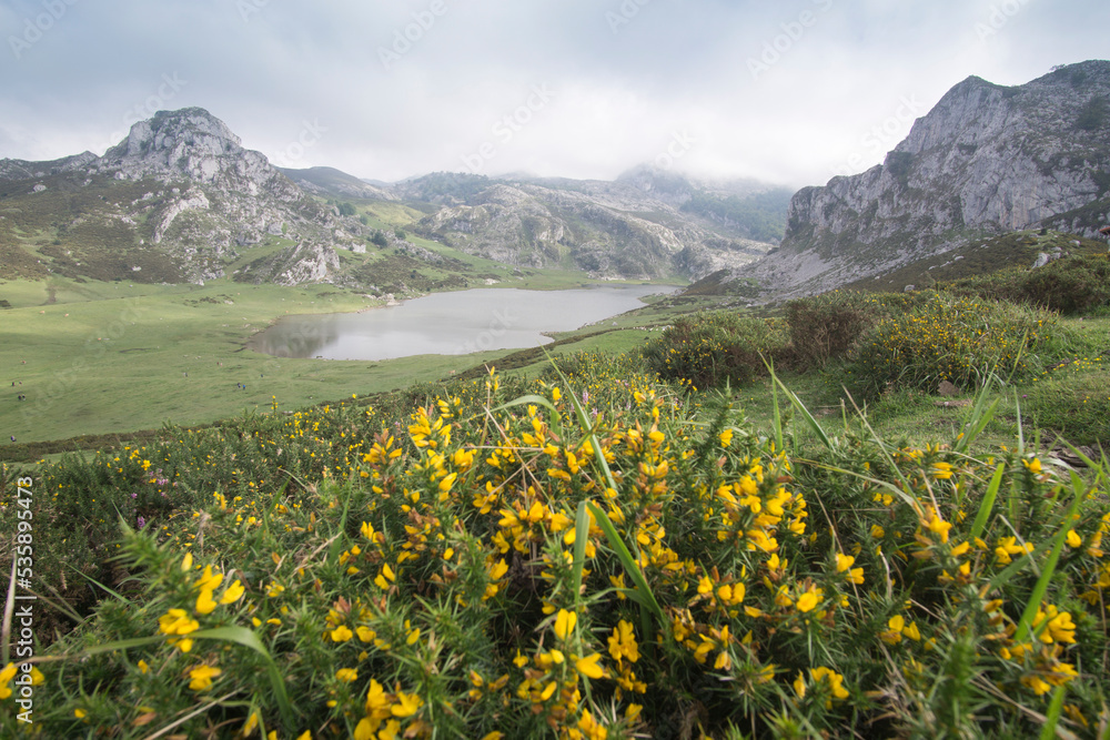 Covadonga lakes in Asturias Spain