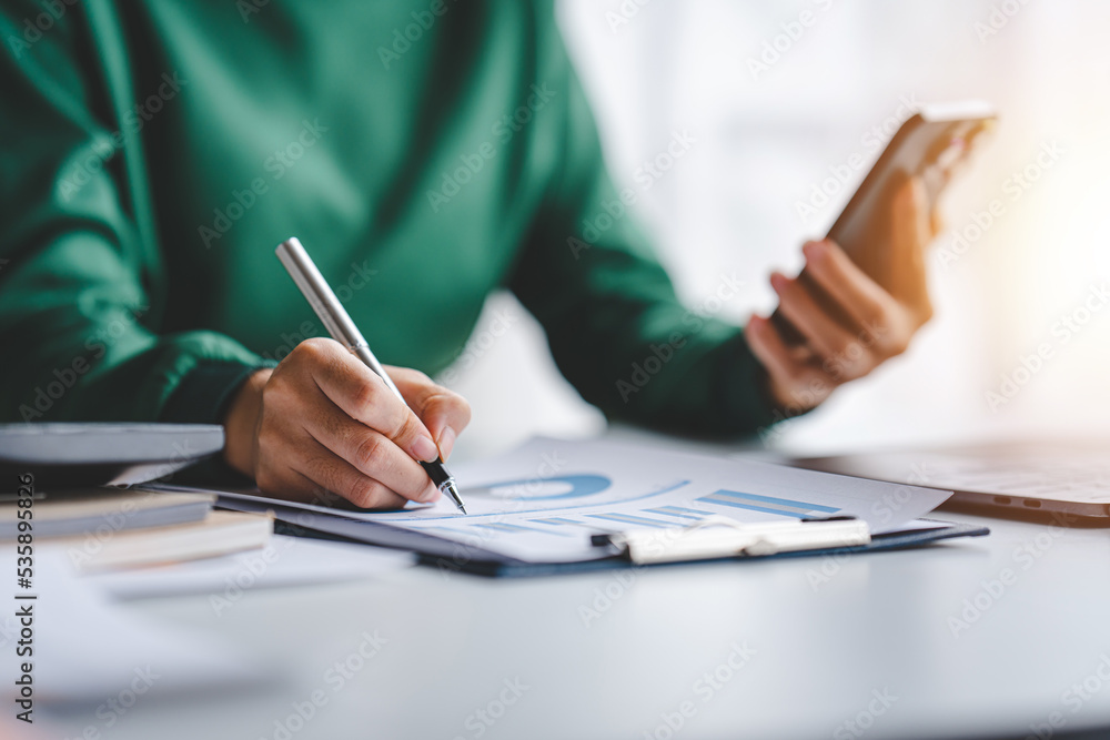 Auditing Concept or Financial Auditor and Secretary Make a financial planning report Financial Document Checker Auditing Concept or Financial Auditor and Secretary Make a financial planning report Financial Document Checker