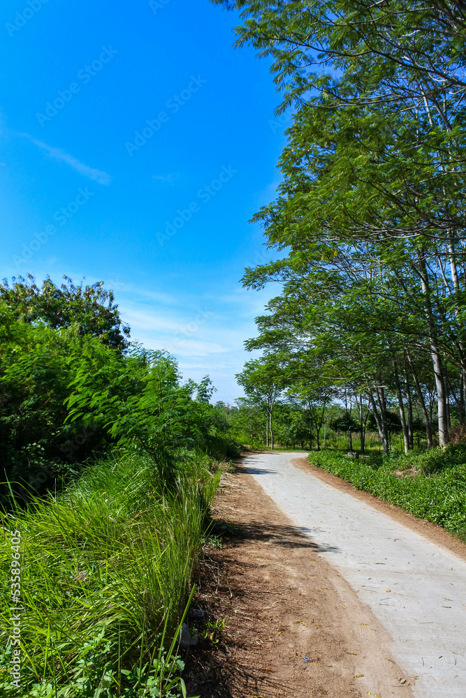 A quiet small asphalt road in the middle of a quiet wilderness on a sunny day creates a peaceful atmosphere