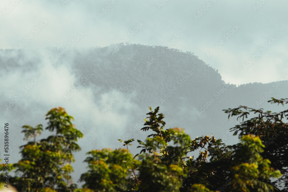 Moody cold cloudy and foggy morning mountain landscape picture from puerto rico Moody cold cloudy and foggy morning mountain landscape picture from puerto rico