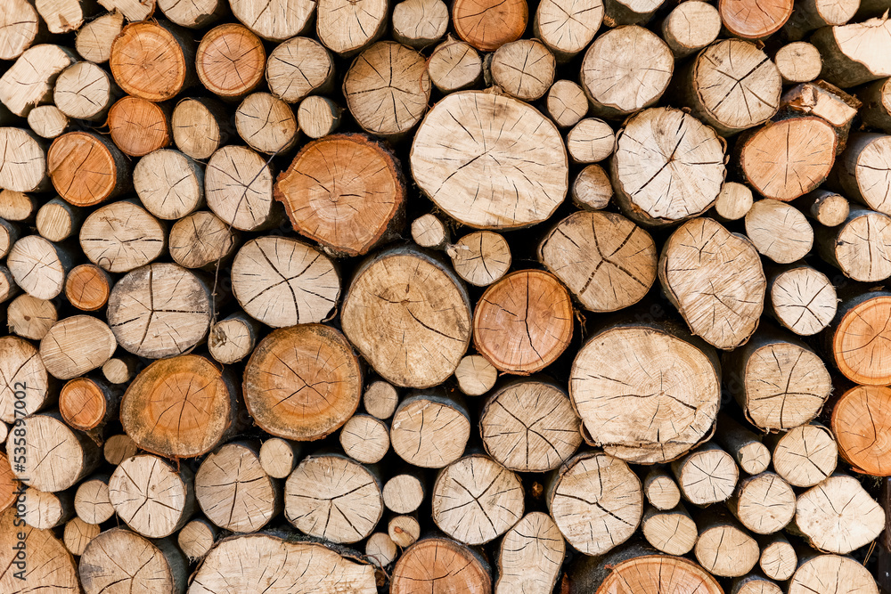 Cross section of tree trunks, timber background. Log trunks pile, the logging timber wood industry. Cutting tree trunks placed together for interior decorate. Decoration of cutting tree. Cross section of tree trunks, timber background. Log trunks pile, the logging timber wood industry. Cutting tree trunks placed together for interior decorate. Decoration of cutting tree.