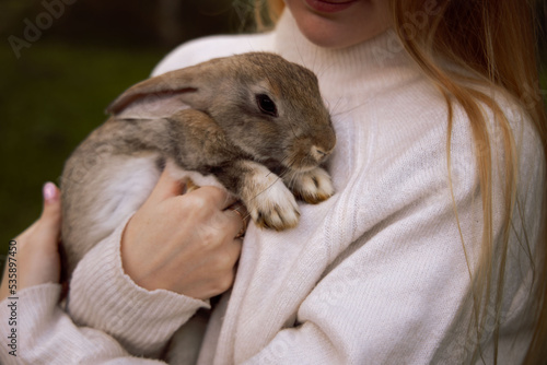 Girl with the rabbit. holding cute fluffy Bunny. Close up © Bory_in_story