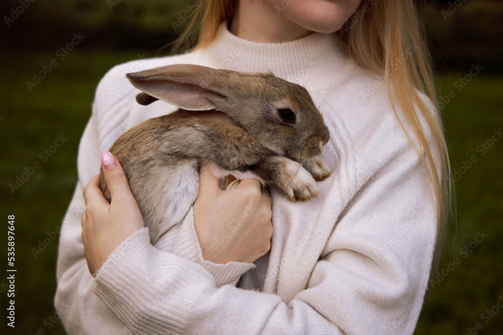 Girl with the rabbit. holding cute fluffy Bunny. Close up Girl with the rabbit. holding cute fluffy Bunny. Close up