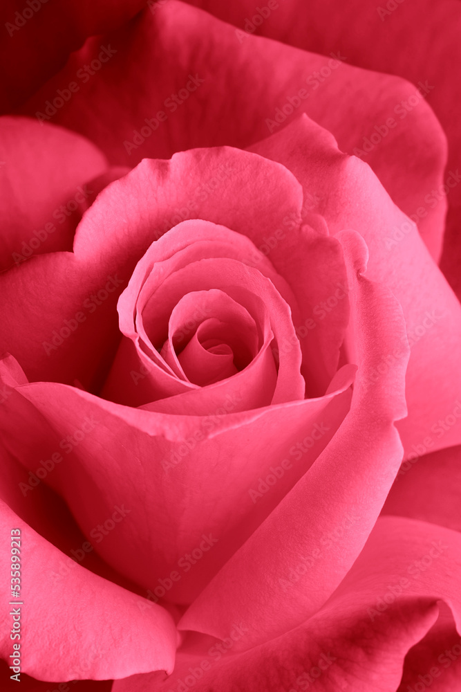 Blumen 1416 Blumen 1416