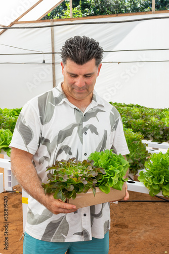 Homem empreendedor feliz com plantação hidropônica de alface 