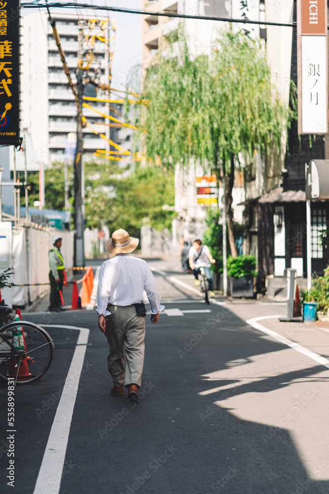 Walking in Tokyo back streets