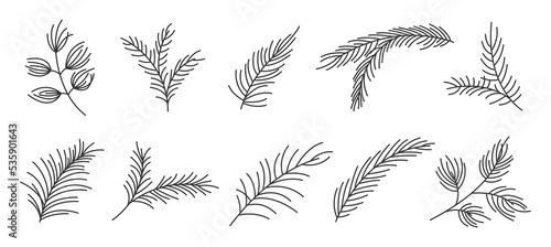 Fir branch variety shape evergreen plant black line set. Spruce fir pine larch cedar winter forest green needlewood holiday xmas tree design element greeting card banner editable stroke isolated
