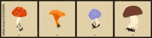 Autumn Mushrooms collection, forest fungus