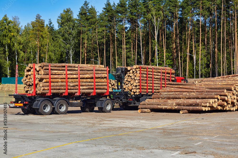 the sawn logs are loaded and secured for further transportation by truck