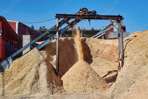 Wood chips flying off the conveyor at the sawmill
