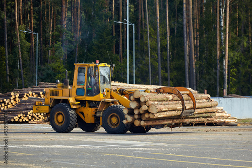 the loader transports large sawn logs for further processing