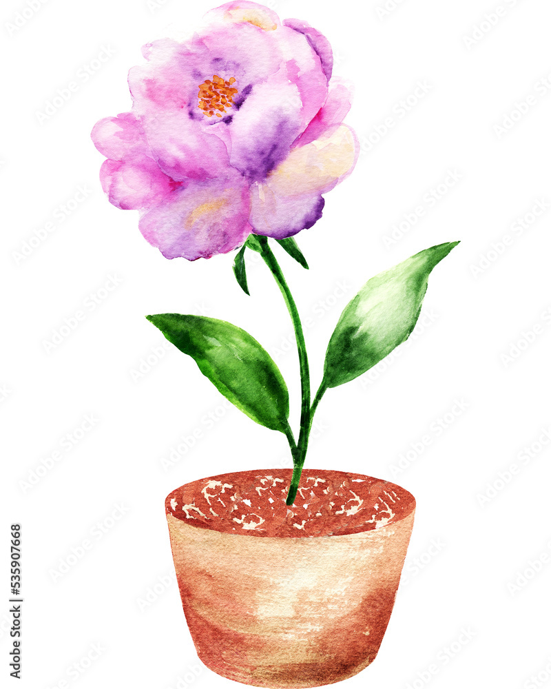 Naklejka premium Watercolor garden flowers.
