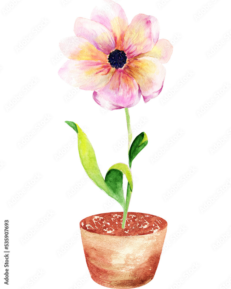 Watercolor garden flowers. Watercolor garden flowers.