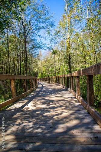 a long winding brown wooden bridge over the Sandy Run Creek surrounded by lush green trees and plants with a clear blue sky at The Walk at Sandy Run in Warner Robins Georgia USA photo