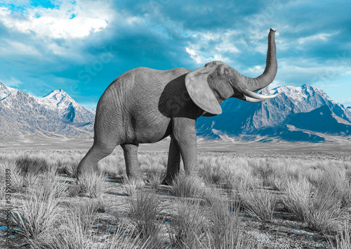 african elephant is walking around in plains and mountains © DM7