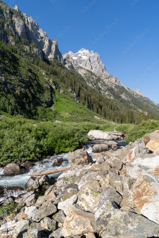 Beautiful creek running through the Cascade Canyon trail in Grand Teton National Park Wyoming Beautiful creek running through the Cascade Canyon trail in Grand Teton National Park Wyoming