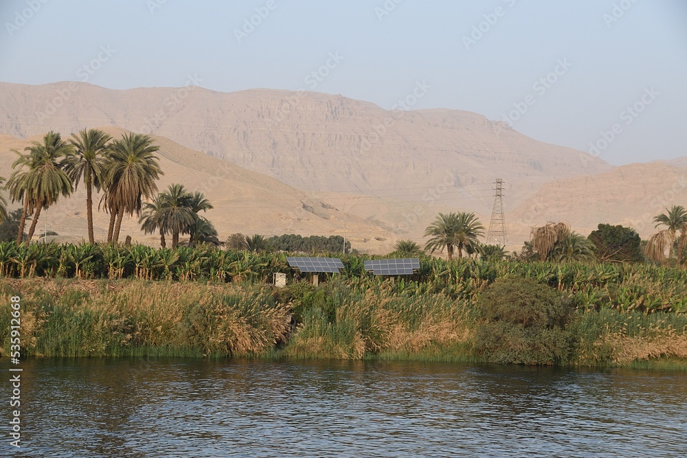 Nil – najdłuższa rzeka świata , zycie na rzece - obrazy, fototapety, plakaty 