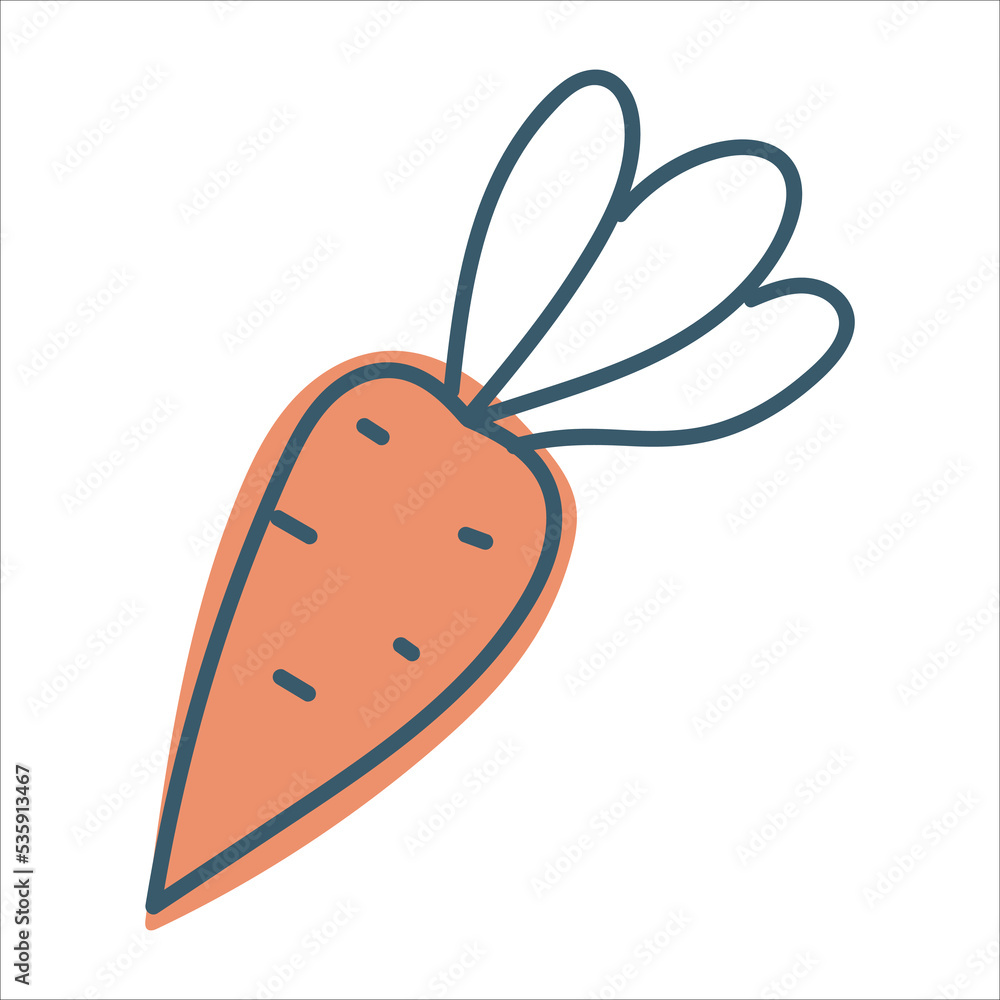 Carrot in doodle style. Ripe root crop. Autumn vegetables. Vector graphics isolated on white background.
