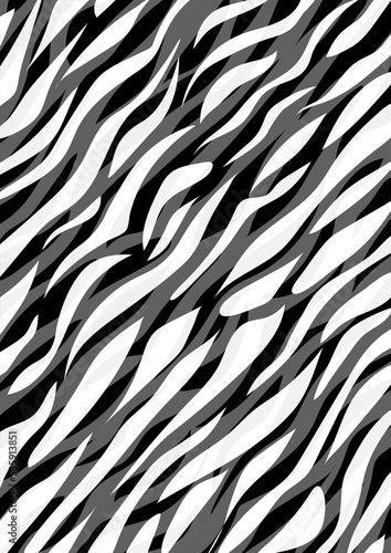 Paski zebry wzór photo