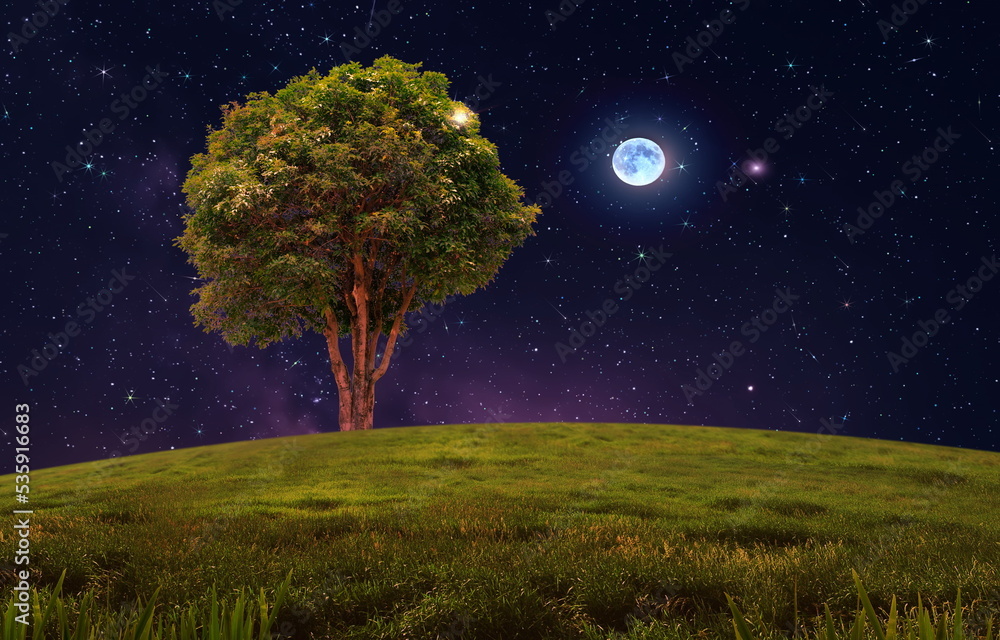 night starry sky and moon comet dust nebula and star fall wind
wild green field and trees in forest cosmic universe nature landscape night starry sky and moon comet dust nebula and star fall wind
wild green field and trees in forest cosmic universe nature landscape
