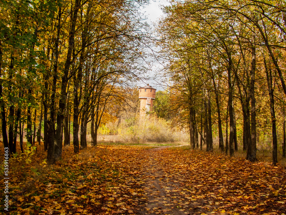 Photo of the autumn landscape