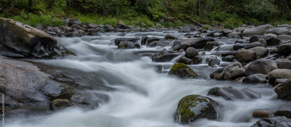 stream in the forest