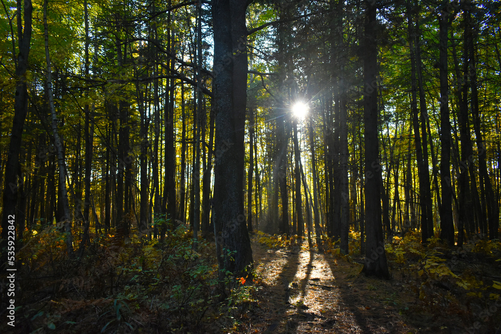 Fototapeta premium La plaine 5 octobre 2022