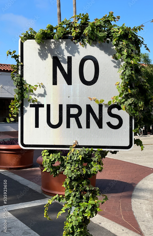 NO TURNS road sign with vines growing over it
