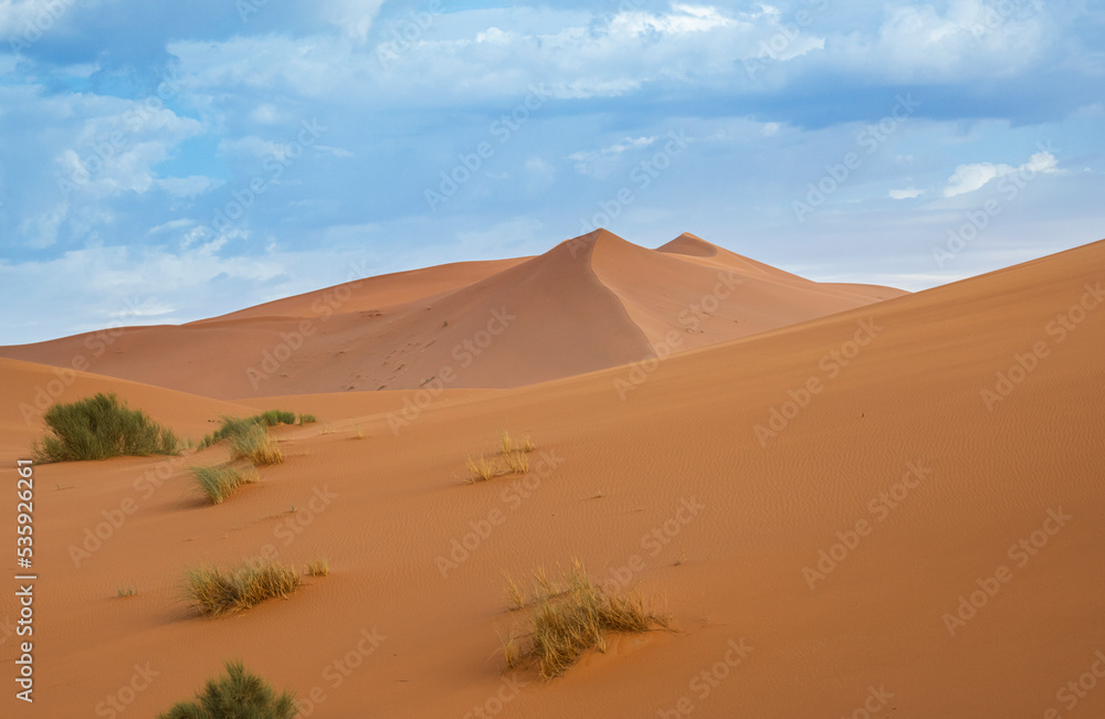 Desert landscape. Merzouga desert, the door to Sahara, in Morocco.

Desert dunes. Africa landscape background. Travels backgrounds.