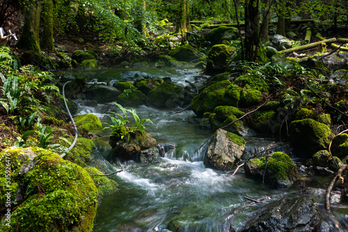 夏の八重谷湧水