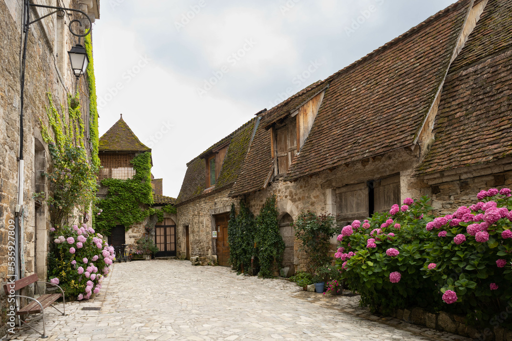 Village street in France that looks like a fairytale, with some pink hydrangeas