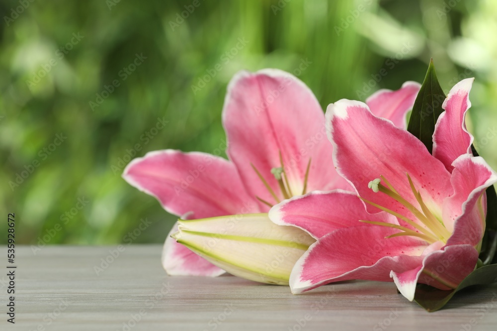 Beautiful pink lily flowers on wooden table outdoors, closeup. Space for text