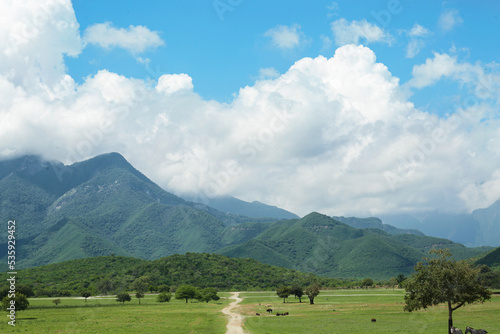 Photography Picturesque view of safari park with animals and mountains
