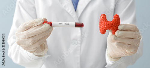 Endocrinologist with model of thyroid gland and blood sample in test tube, closeup photo